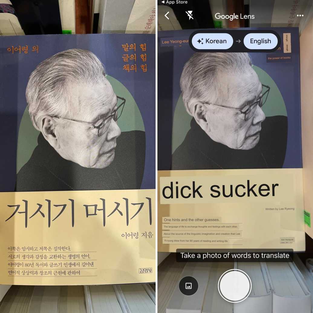 Sur la gauche se trouve une photo d'une couverture de livre écrite en coréen et représentant un vieil homme digne. Sur la droite se trouve la couverture vue dans Google Lens, traduisant le titre du livre en "dick sucker".